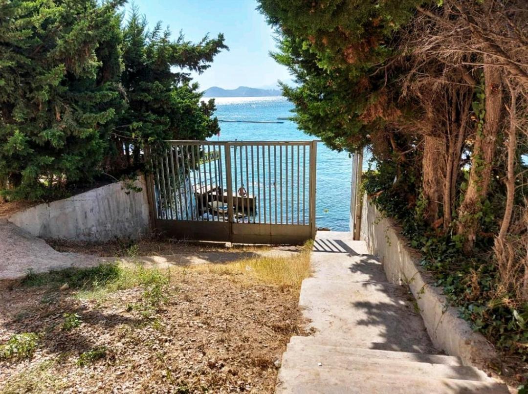 Paloma Dream Apartment Benidorm Ngoại thất bức ảnh